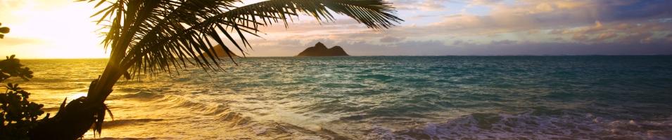 Oahu Beach