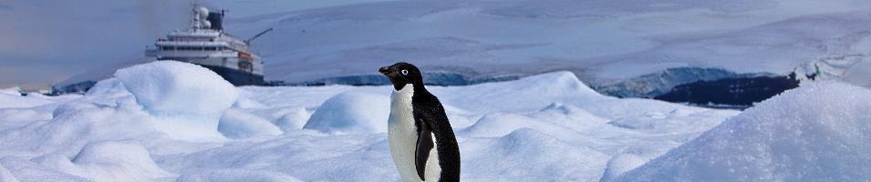 Mawson's Antarctica - Commonwealth Bay 