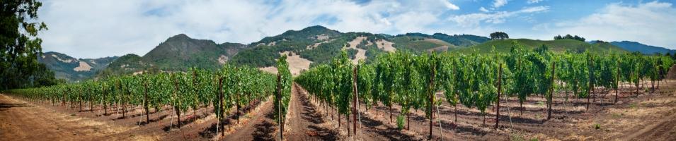 Sonoma Valley