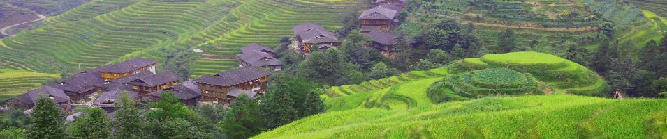Longsheng