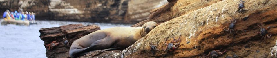 Galapagos Expedition Cruise