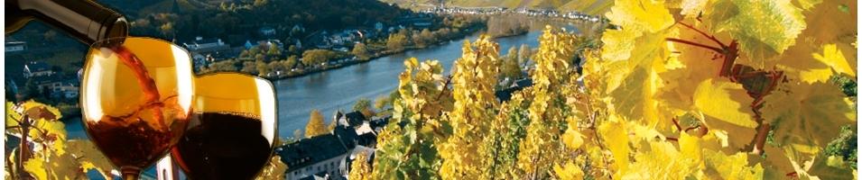 Wine Cruise