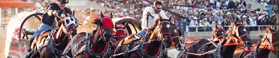 Calgary Stampede
