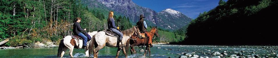 Wilderness Resort