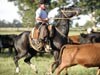 Exploring Southern Argentina