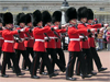 London Signature