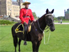 Best of Ontario & Quebec  