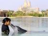 Atlantis Dolphin Experience