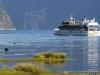 New Zealand Cruise