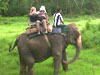 Nepal Adventure 