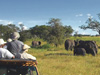 Cape to Cairo