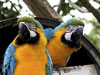 Costa Rica & Panama Adventure 
