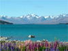 South Island Adventure
