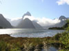New Zealand Food & Wine