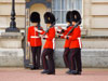 London Discovery