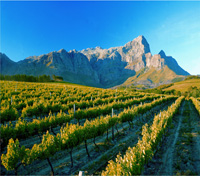Cape Winelands Getaway