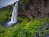 Iceland