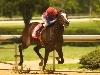 Kentucky Derby