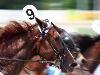 Kentucky Derby