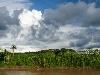 Peru, Amazon