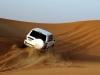 Desert Safari