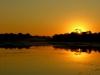 Amazon Sunset