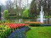 Tulip Time