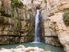 Ein Gedi