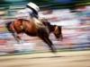Bucking Bronco