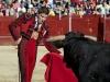 Bullfight