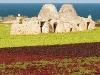 Trulli House In Puglia
