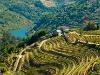 Douro Valley