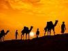 Camel Riding