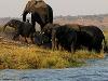 Discover Africa