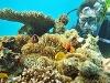 Great Barrier Reef