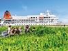 Amazon Cruise