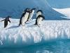 Antarctica 