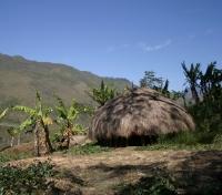 Madang