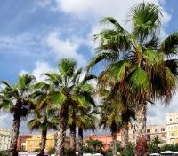 Civitavecchia