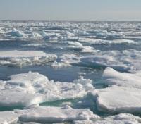 Melting Ice on the Denmark Strait