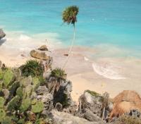 Costa Maya