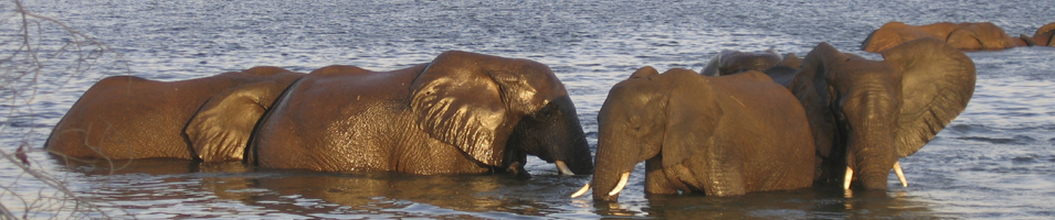 Botswana