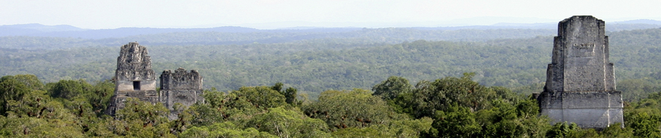 Tikal