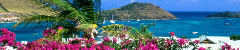 Saint Martin