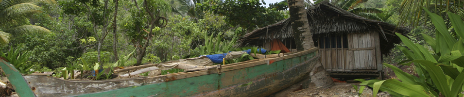 Papua New Guinea