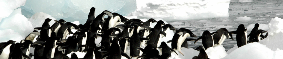 Antarctica