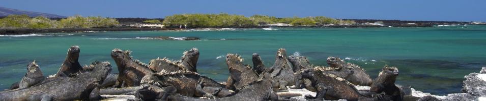 Galapagos