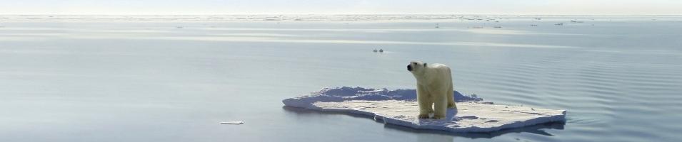Arctic Cruise