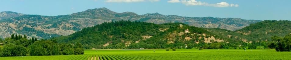 Yountville, Nappa County