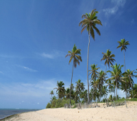 Praia do Forte